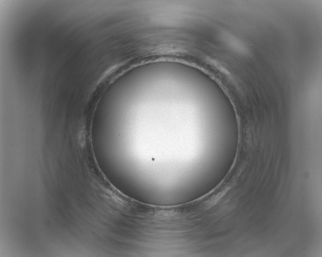 X0000073871306200608312042