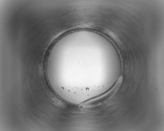 X0000073871308200608312042