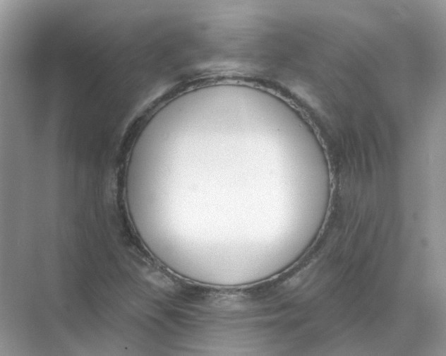 X0000073871309200608312042