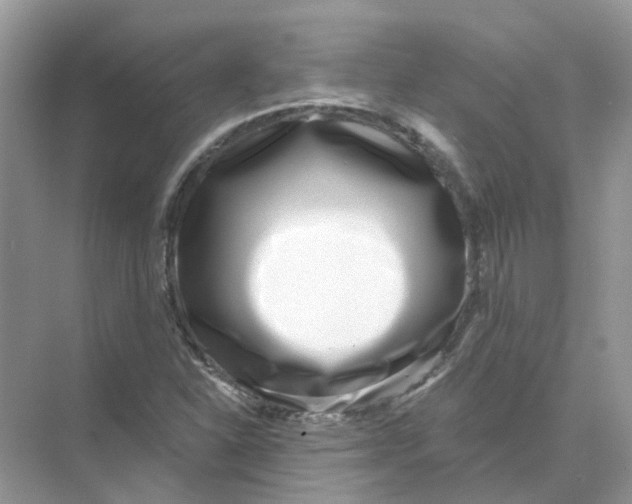 X0000073871310200608312042