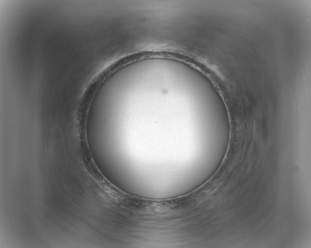 X0000073871311200608312042