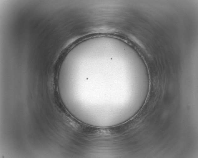 X0000073871315200608312042