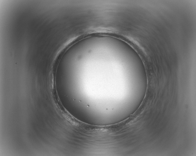 X0000073871317200608312042