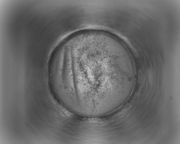 X0000073871319200608312042