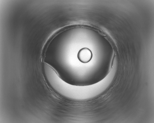 X0000073871320200608312042