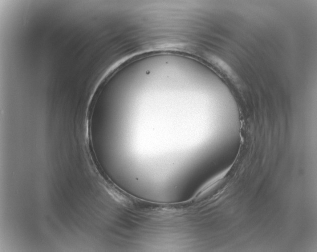 X0000073871324200608312042