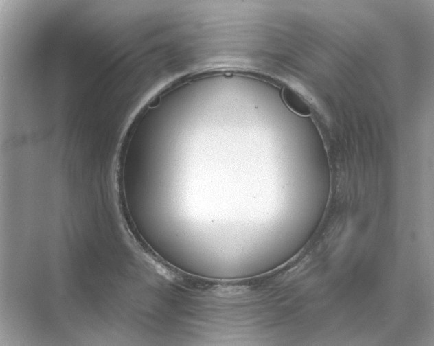 X0000073871325200608312042