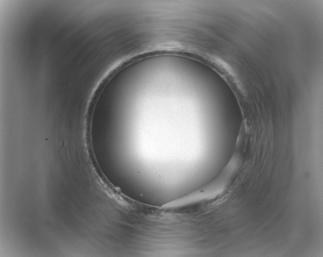 X0000073871326200608312042