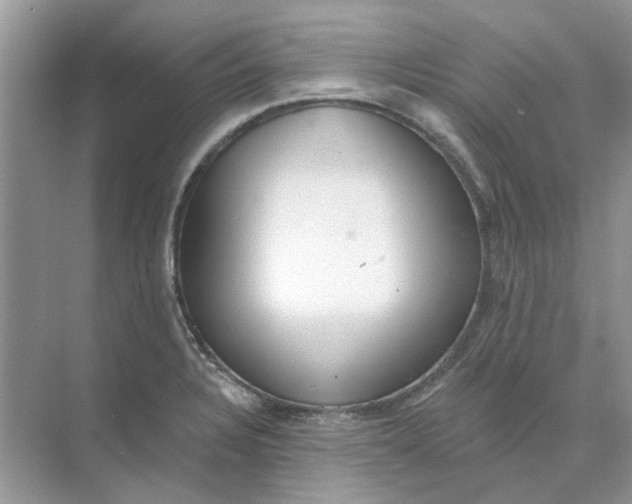 X0000073871328200608312042