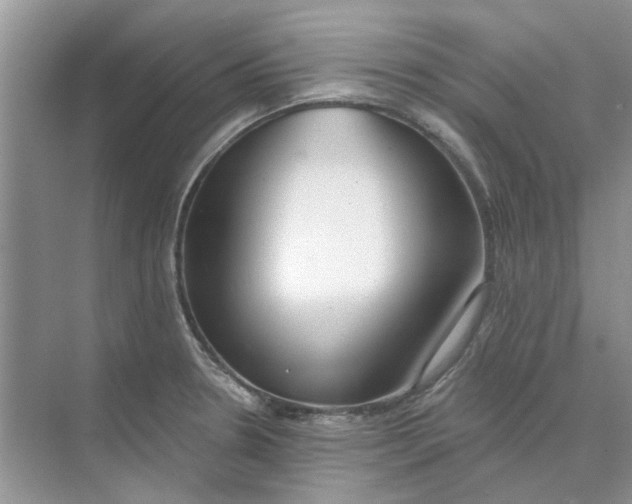 X0000073871330200608312042