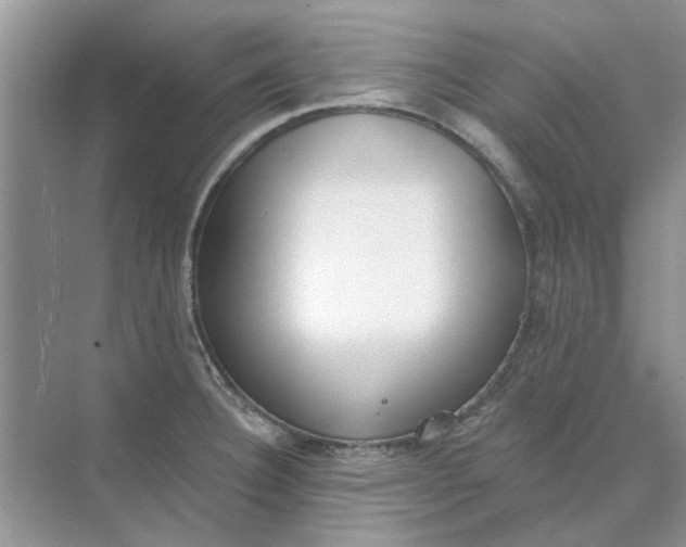 X0000073871332200608312042