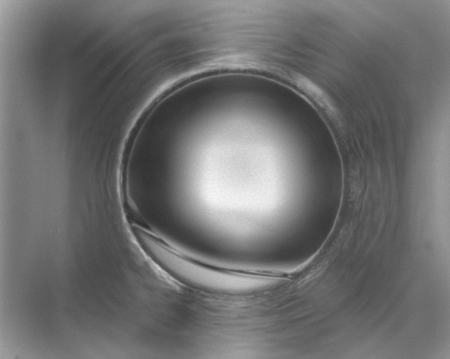 X0000073871334200608312042