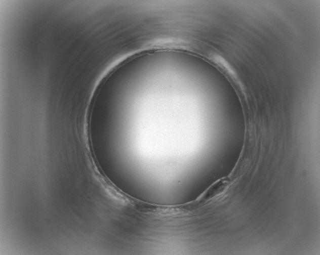 X0000073871336200608312042