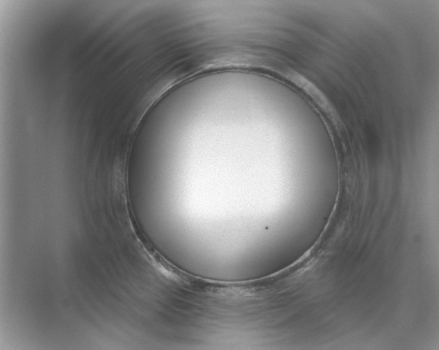 X0000073871337200608312043