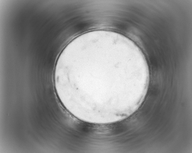 X0000073871338200608312043