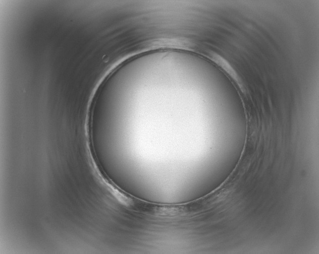 X0000073871339200608312043