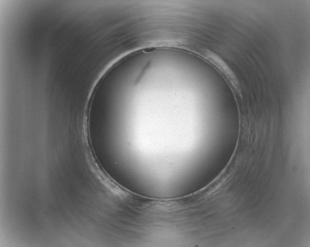 X0000073871340200608312043