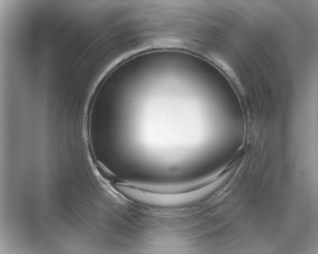 X0000073871342200608312043