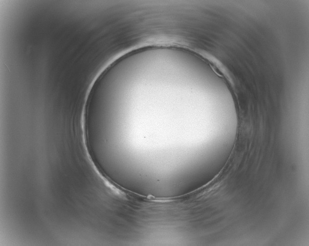 X0000073871343200608312043