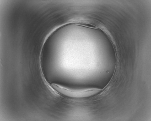 X0000073871344200608312043