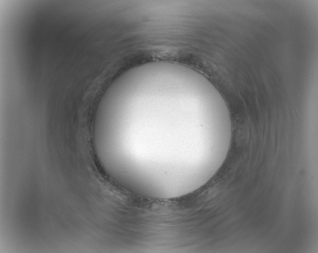 X0000073871345200608312042