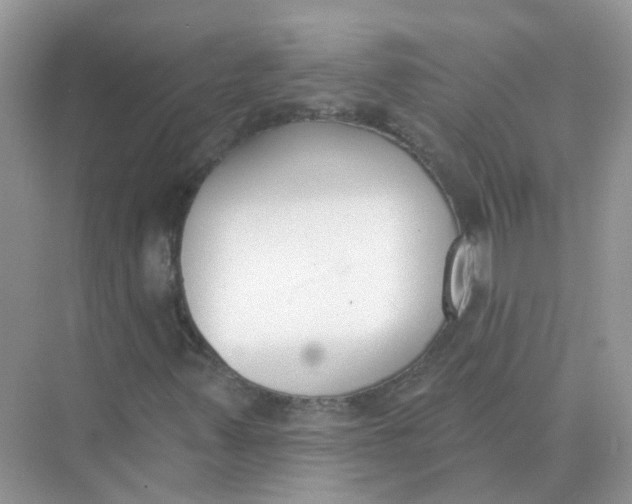 X0000073871347200608312042