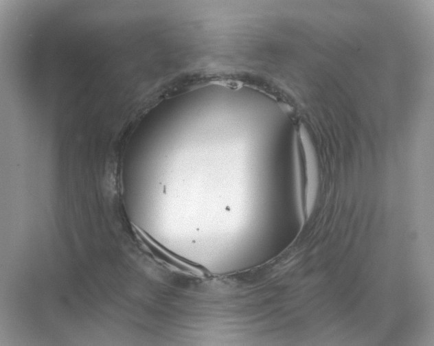 X0000073871348200608312042