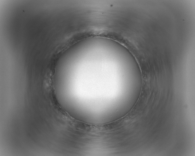 X0000073871349200608312042