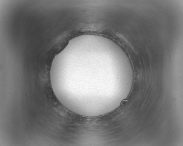 X0000073871350200608312042