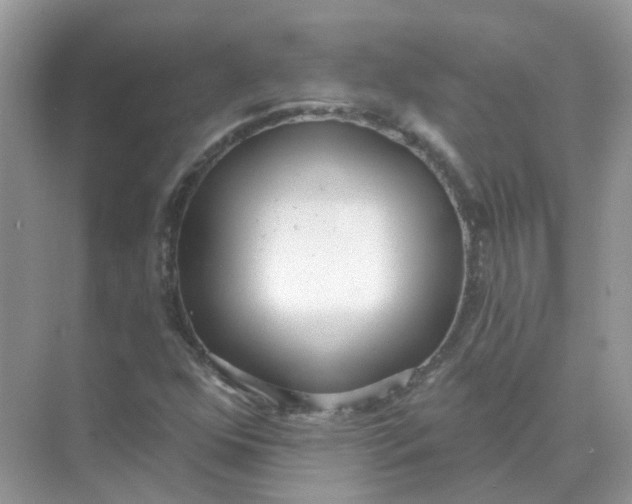 X0000073871352200608312042