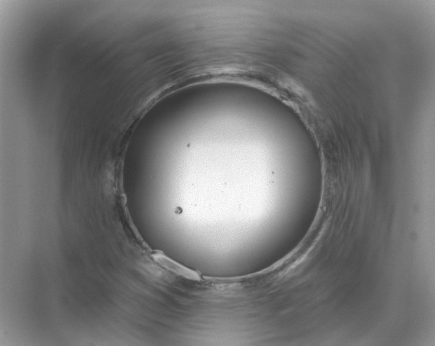 X0000073871353200608312042