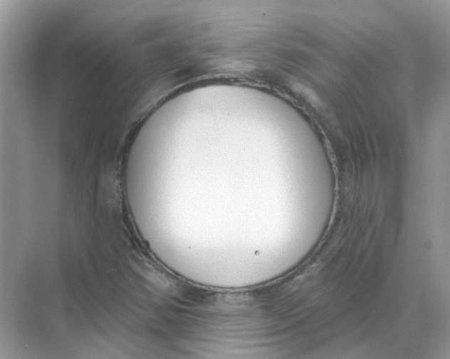 X0000073871354200608312042