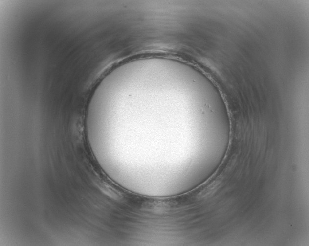 X0000073871355200608312042