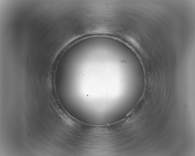 X0000073871356200608312042