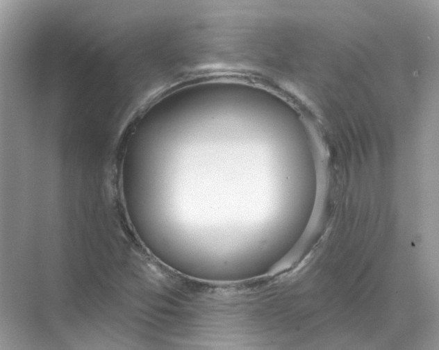 X0000073871357200608312042