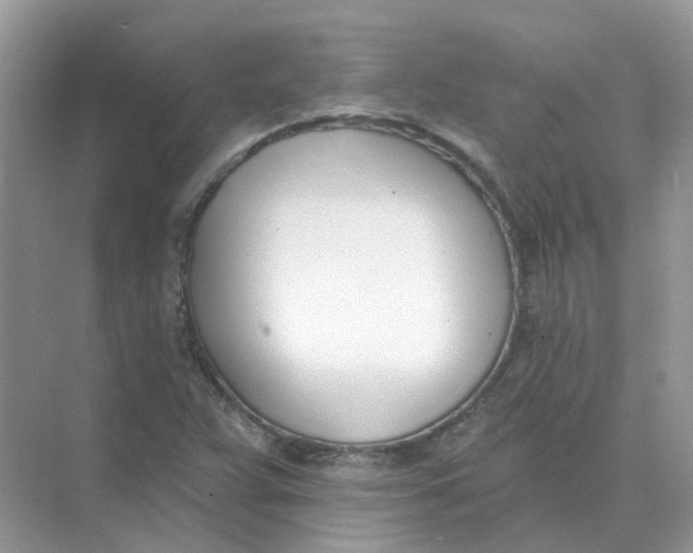 X0000073871359200608312042