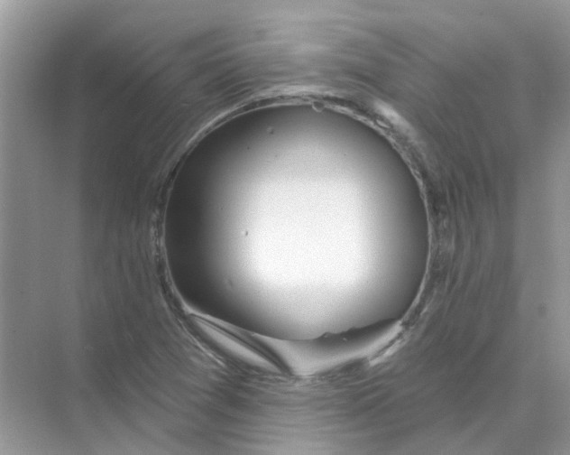 X0000073871361200608312042