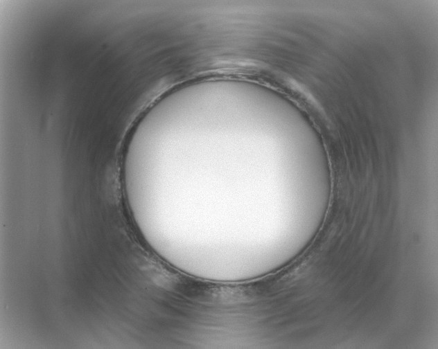 X0000073871362200608312042