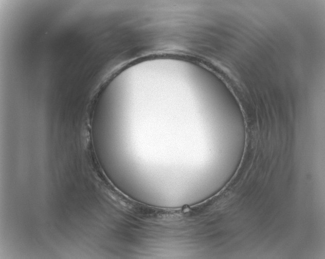 X0000073871363200608312042