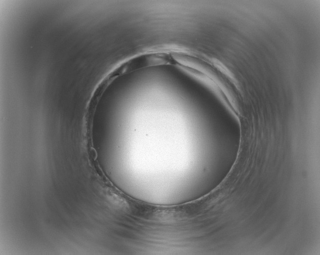 X0000073871364200608312041