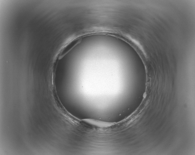 X0000073871365200608312041