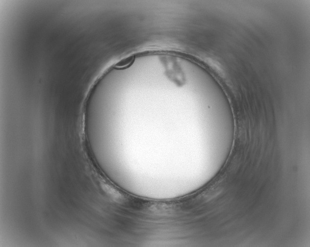 X0000073871366200608312041