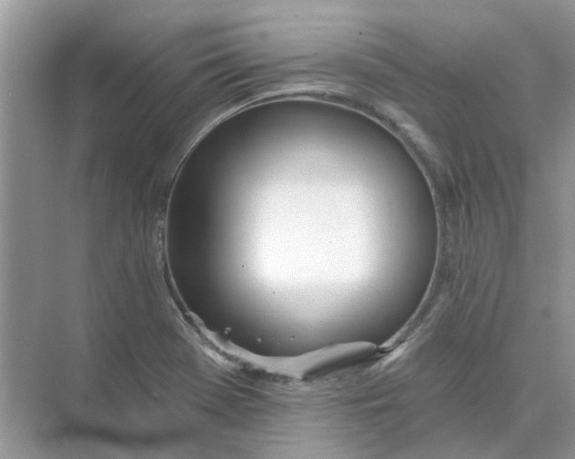 X0000073871369200608312041