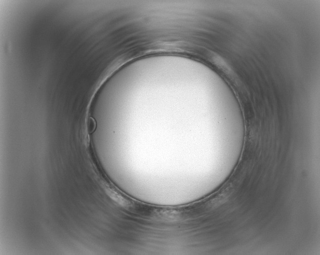 X0000073871370200608312041