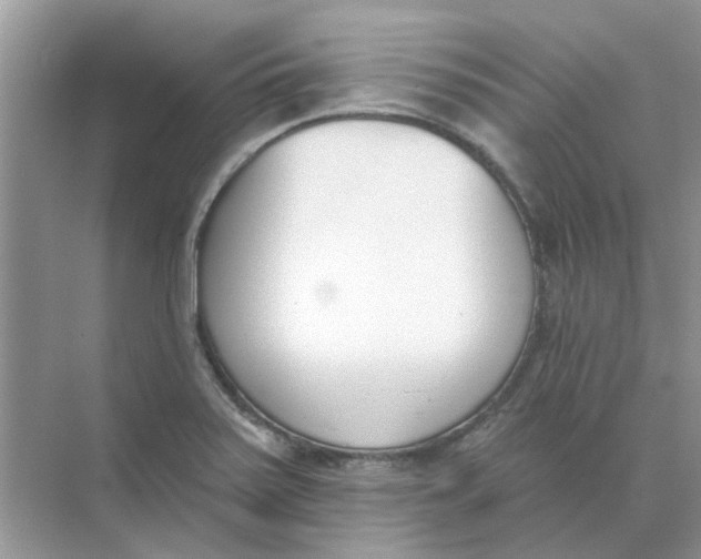 X0000073871371200608312041