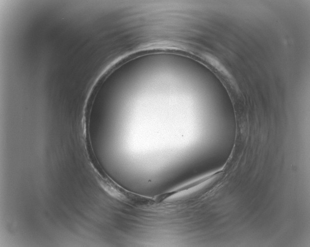 X0000073871372200608312041