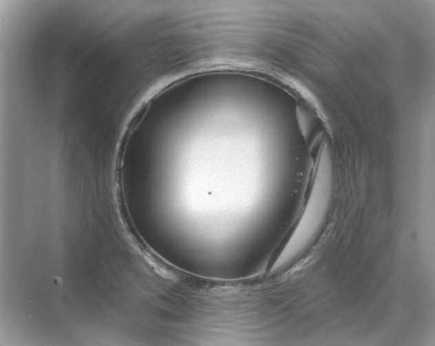 X0000073871373200608312041