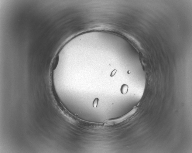 X0000073871375200608312041