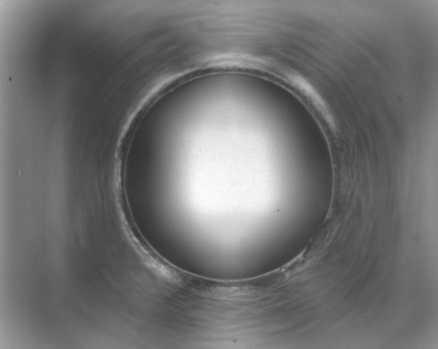 X0000073871376200608312041