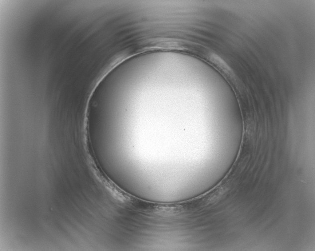 X0000073871378200608312041